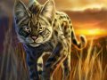 savannah_cat_by_blackmystica-d4sk8s4.jpg